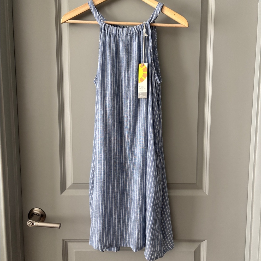 C&C California Blue Striped Mini Dress